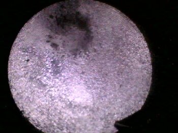 20230314_132121.jpg