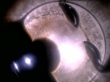 20230316_172407.jpg