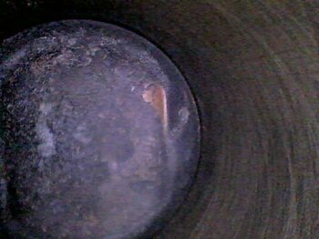 20230510_175505.jpg
