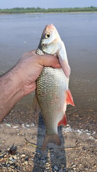 20230604_074737.jpg