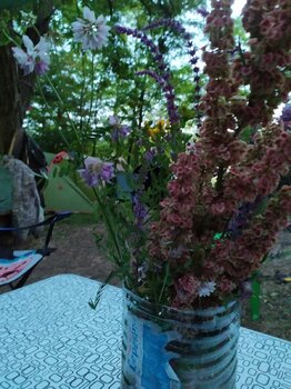 IMG-20230612-WA0155.jpg