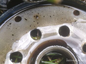 IMG_20230604_105440_1.jpg