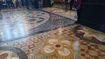 P_20230606_110225.jpg