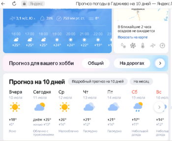 гаджи.png
