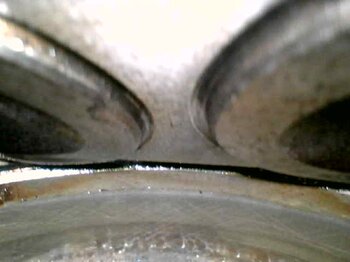 20230329_101001.jpg