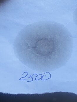 20230608_170246.jpg
