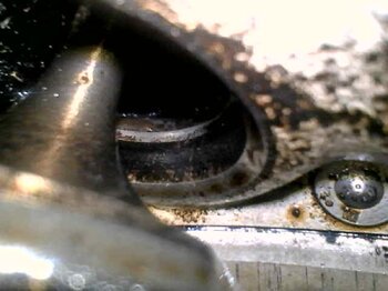 20230619_170635.jpg