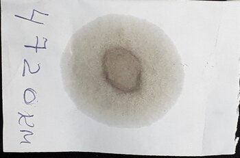 20230714_084538.jpg
