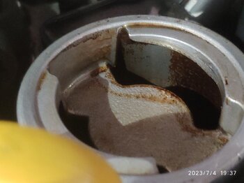 IMG_20230704_193754_1.jpg