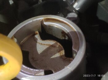 IMG_20230707_180039_1.jpg