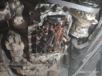 IMG_20230709_152942.jpg