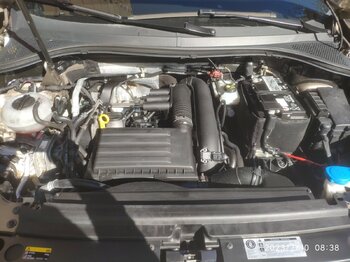 IMG_20230710_083839.jpg