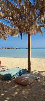 IMG_20230726_150859_170.jpg