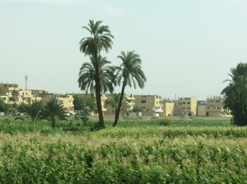 IMG_2414.JPG