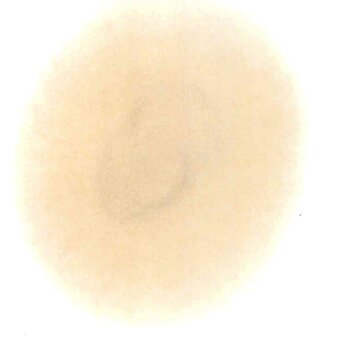 doc37088820230713185741_001.jpg