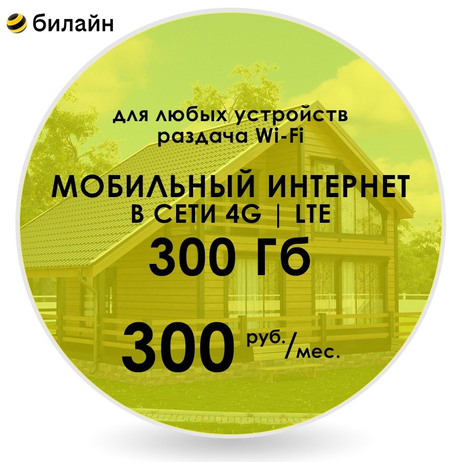 Мобильный интернет 300 рублей в месяц. Телефон на 300 ГБ.