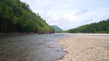 IMG_20230730_160843.thumb.jpg.ba0fa96609b96046dd492770a237b0e5.jpg
