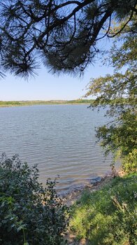 IMG_20230813_105456_354.jpg