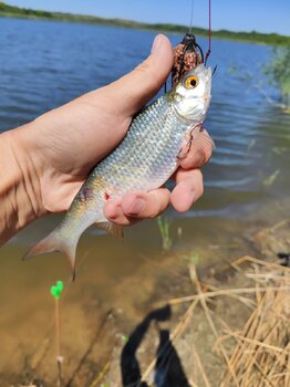 IMG_20230813_122623.jpg
