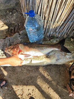 IMG_20230813_173704.jpg
