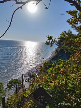 IMG_20230820_171120.jpg