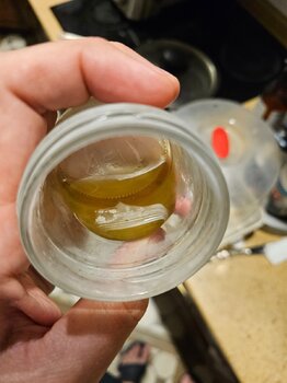 20230928_194201.jpg