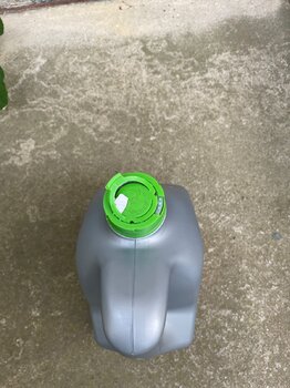 IMG_7325.jpeg
