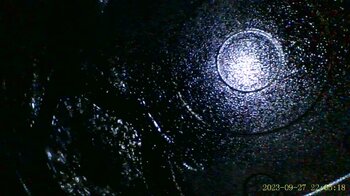IMG_0003.thumb.JPG.8cab50747544fab3c93210a3d40ded1e.JPG