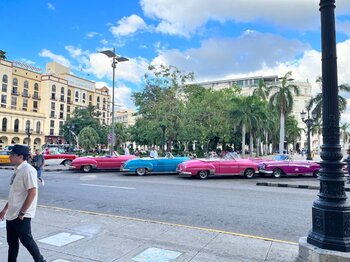 IMG_1336.jpeg