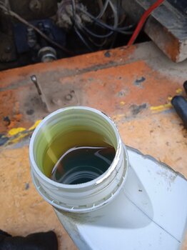 IMG_20230717_103024_1.jpg