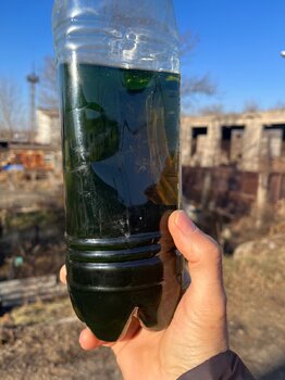 IMG_1812.jpeg
