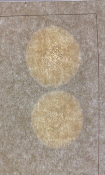 IMG_8810.jpeg