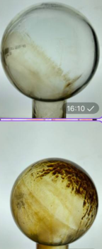 image.thumb.png.9ca3e3a69b7e6a183c6ef2d9438a74d9.png