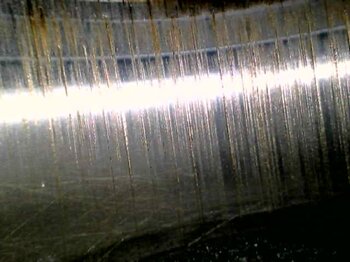 20230309_112946.jpg