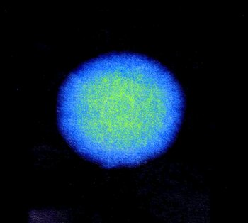 1530502848_HYU_4262_125__.thumb.jpg.197bed7cf50cf27ad27fe5575fae1965.jpg