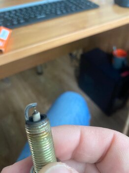 IMG_0096.jpeg