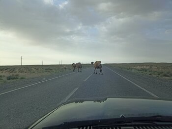 IMG_20240513_064826.jpg