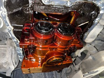 IMG_3076.jpeg