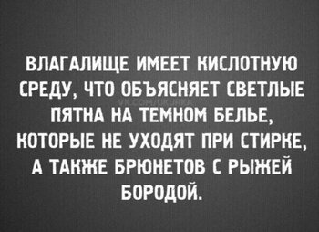 IMG_7384.jpeg