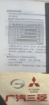 IMG_8245.jpeg