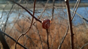 IMG_20231031_102148.thumb.jpg.0ef30857a9f53389925118159a5839af.jpg