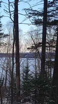 IMG_20231121_114430_1.thumb.jpg.fce985c0bf6c6e747186a927ccd41057.jpg