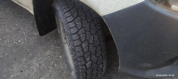 IMG_20240628_040035.jpg