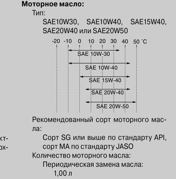 IMG_6919.jpeg