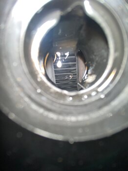 IMG_7731.jpeg