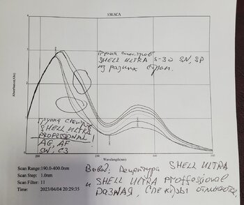 shell_2.jpg