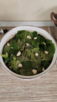 IMG_20240713_170918_963.jpg