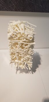 20181031_075654.jpg