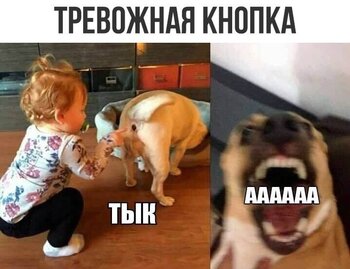408b95fcbae185ea4bb9e1da12778fac.jpg