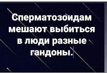 85.jpg